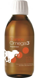 CanineOmega3 oil by NutraSea provides a concentrated dose of EPA and DHA fatty acids to support health.